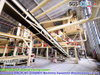 500cbm Oriented Strand Board (OSB) Production Line with Glue Spreading System