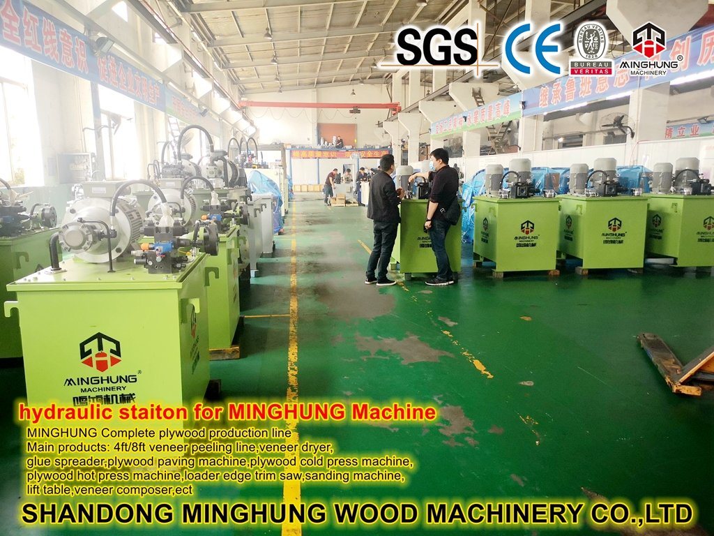 Woodworking Plywood Machine Hot Press