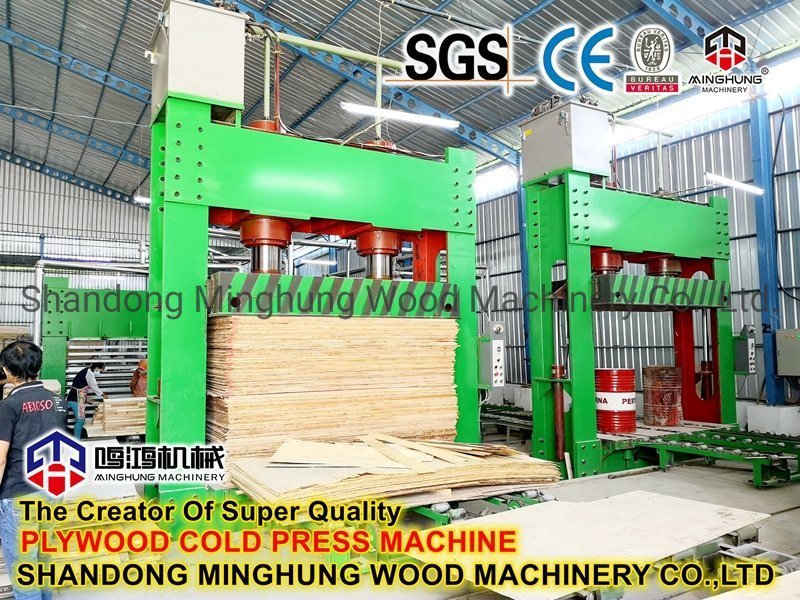 Full Sets Plywood Machine in China