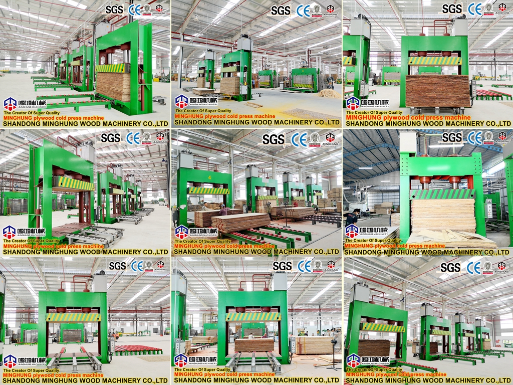 cold press MINGHUNG cold press