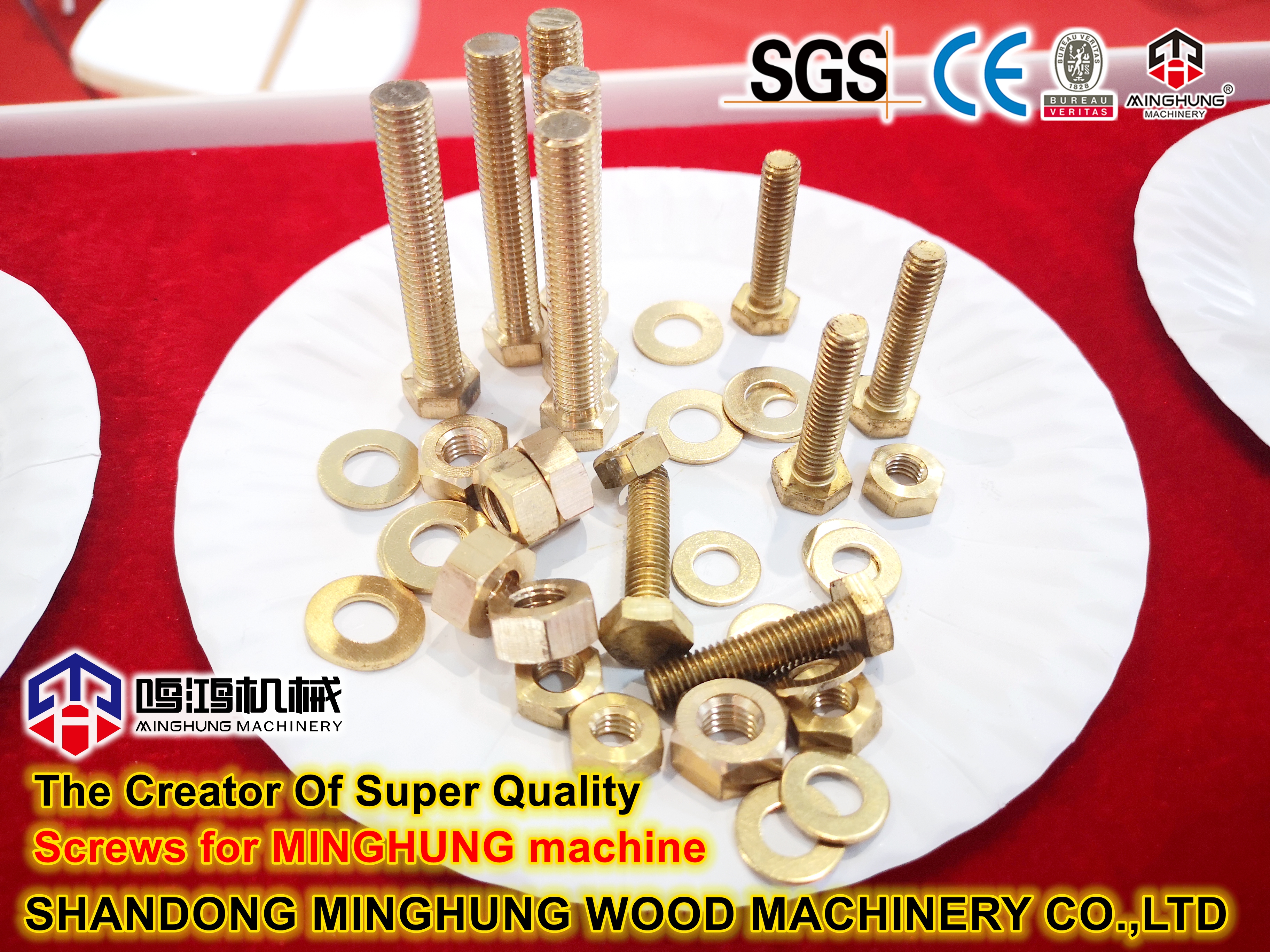 screws for minghung machine