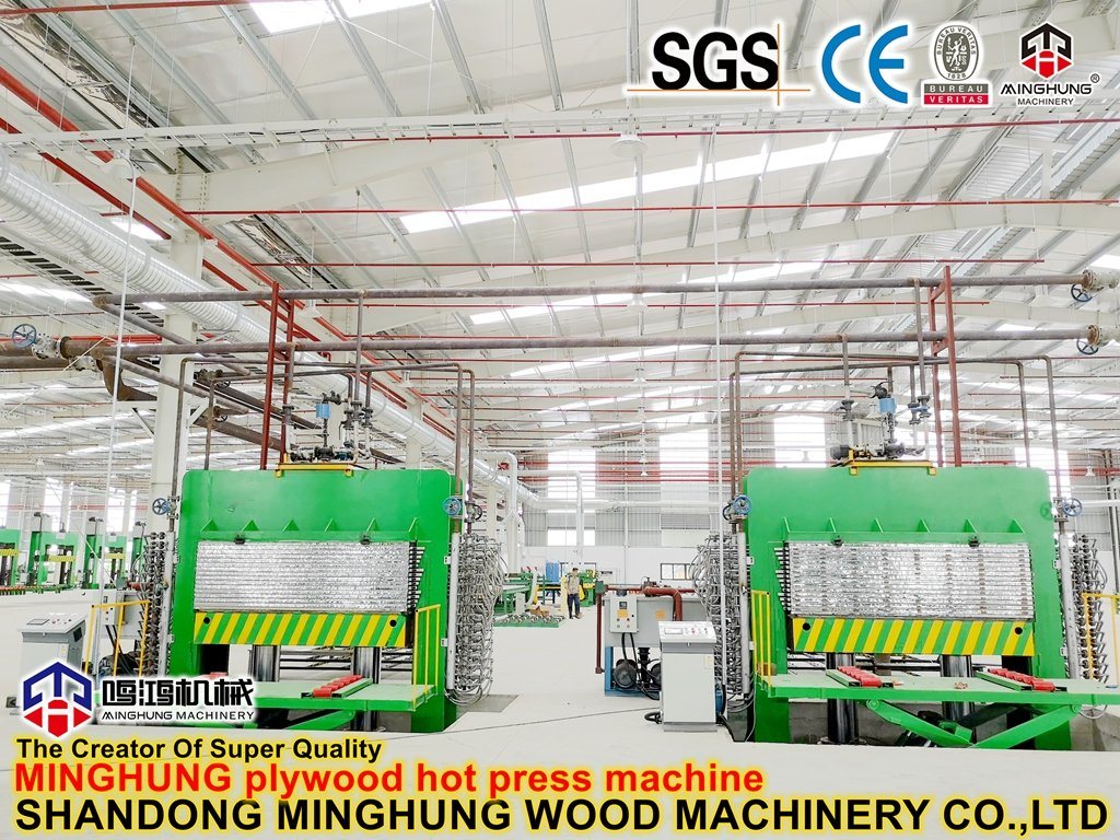 Plywood Processing Machine for Producing Construction Plywood