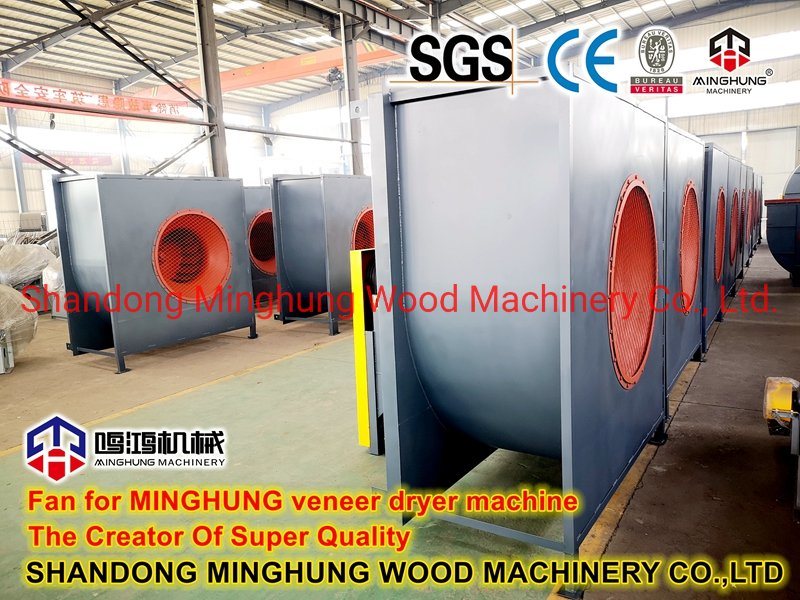 Roll Type Veneer Dryer Machine for Drying Wood Veneer