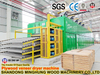 Full Sets Plywood Machine in China