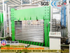 Modular Design Small Footprint 10 Openings Plywood Hot Press Machine 