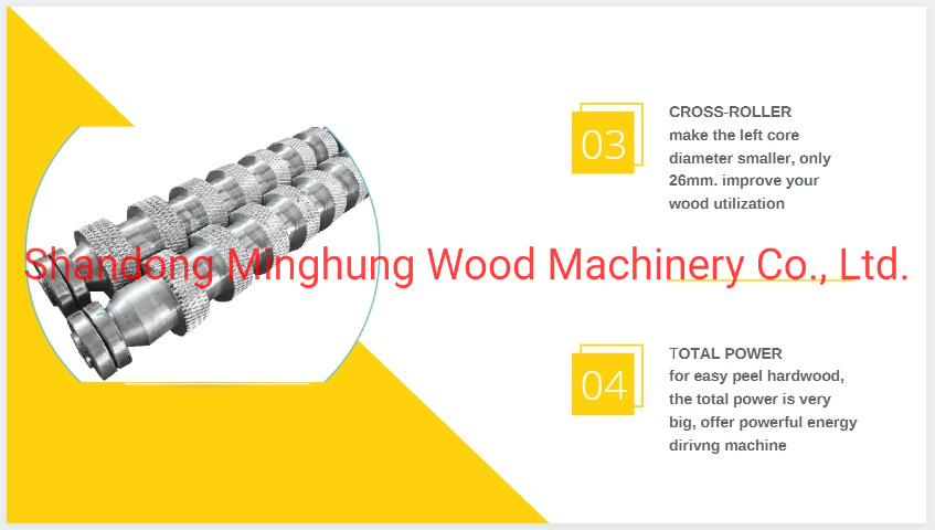 4feet /5feet Spindleless Peeling Machine for Manufacturing Wood Veneer Sheet