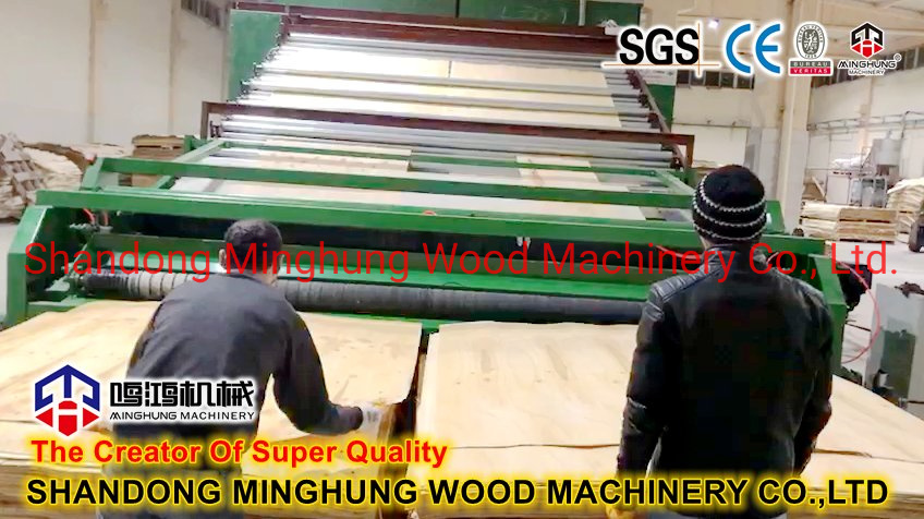 Veneer Drying Line Roller Type Dryer