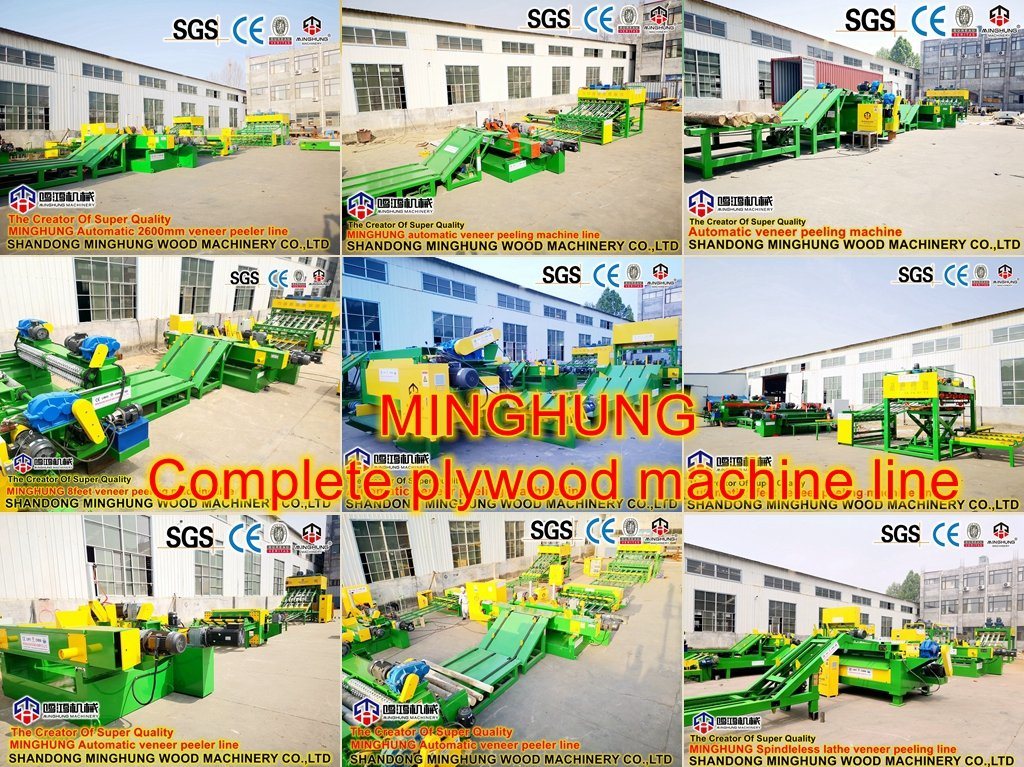 Plywood Manufacturing Machine for Plywood Factory