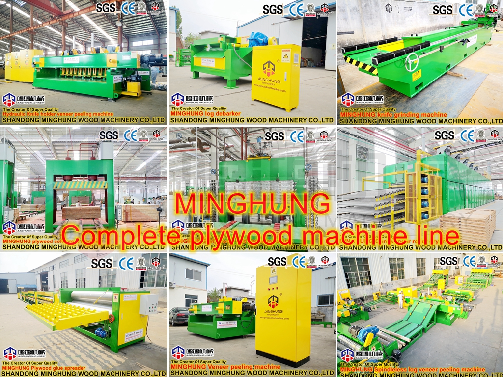 minghung complete plywood line