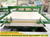 Plywood Double Sizer for Plywood Furniture Industry