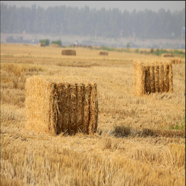wheat straw for chipboard production