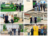 Energy-Saving Plywood Production Line for Construction Formwork 