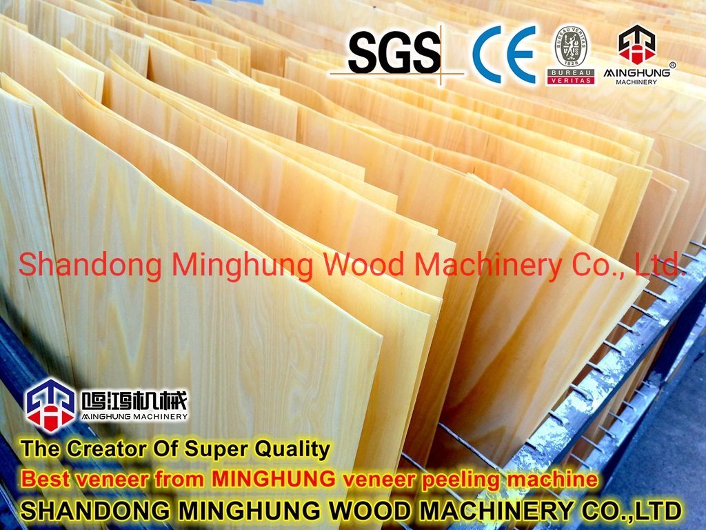 Strong 4feet Rotary Veneer Line for Panel Production Industry