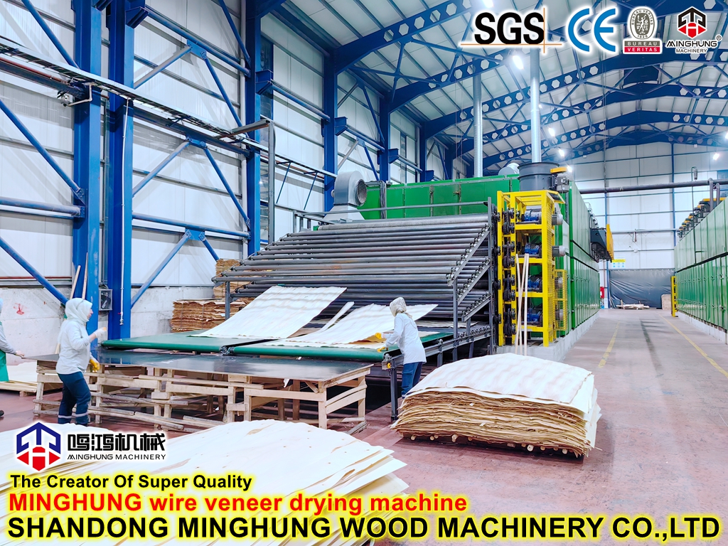 China Core Veneer Making Manufacturer: Core Veneer Roller Mesh Drying Machines for Plywood Production Machines Line