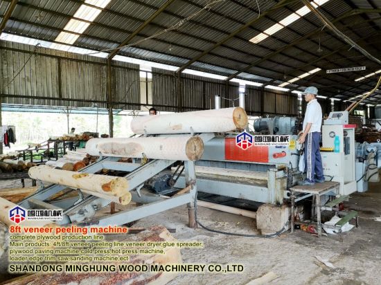 Wood Machine Veneer Peeling Machine for 2600mm Log