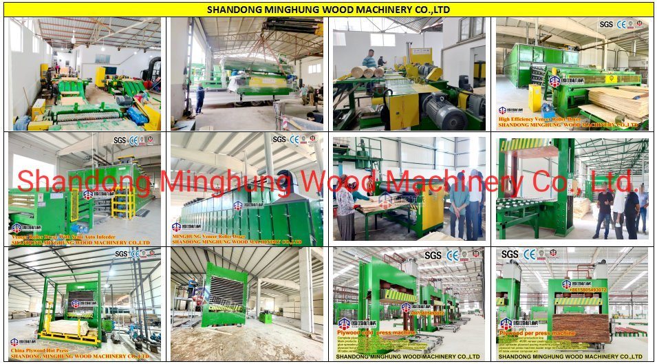 Plywood Hot Press Machine for International Steel Plate