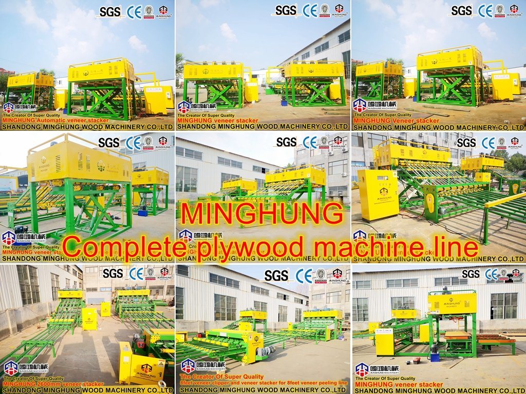 Plywood Veneer Paving Line for Plywood Production Line