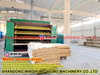 Veneer Production Line Birch Veneer Dryer Machine Mesh Birch Dryer