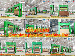 Plywood Cold Press Machine High Efficiency Woodworking Cold Press Equipment
