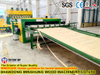 High-Capacity Automatic Plywood Production Line