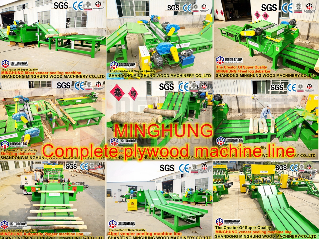 MINGHUNG log conveyor for veneer peeling machine_副本1