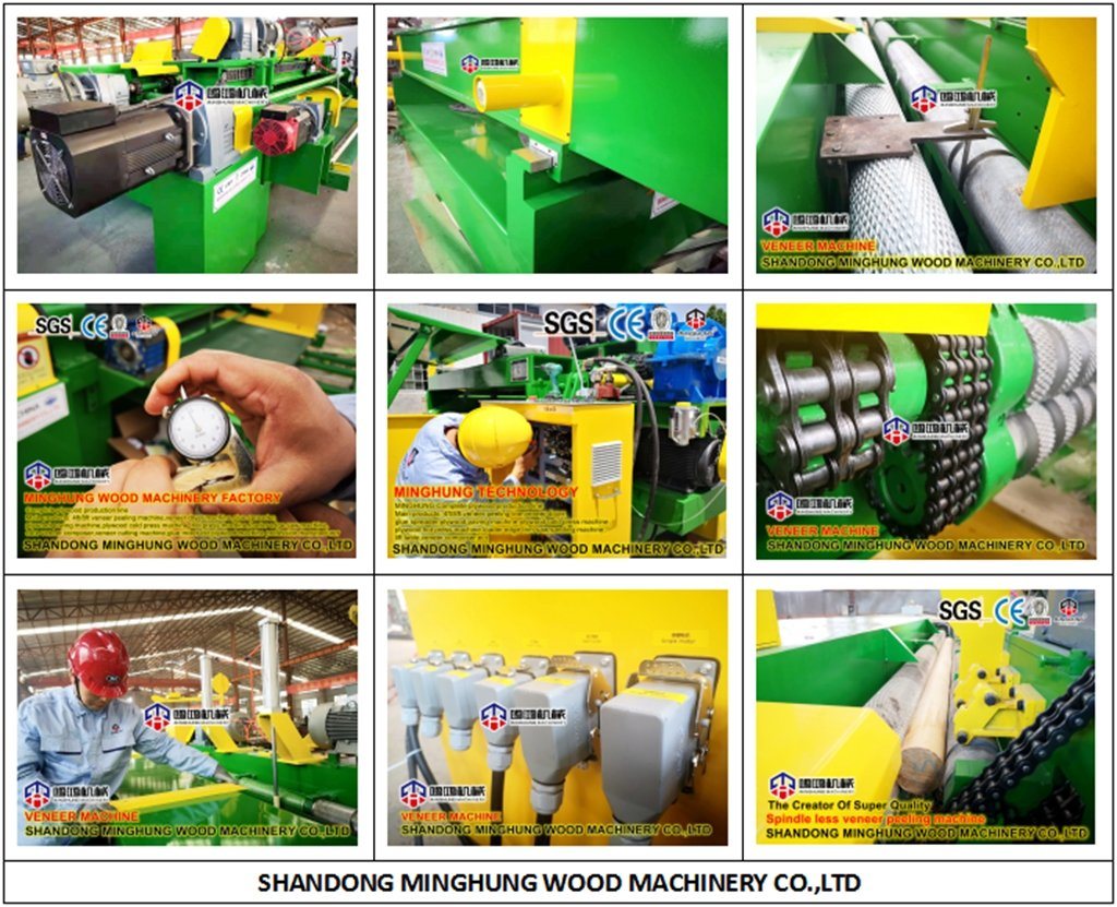 Eucalyptus Plywood Machine Veneer Board Machine with Veneer Cutter