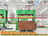 500t Plywood Cold Press for Woodworking Plywood Veneer