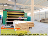 Plywood Veneer Dryer Machine Drying Line
