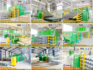 Wood Processing Machine Plywood Production Line