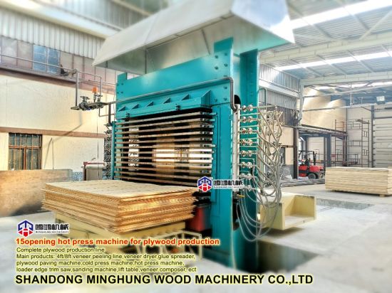 Plywood Manufacturing Process in China Factory