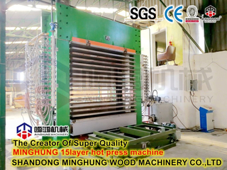 15 Openings Fully Automatic CNC Plywood Hot Press Machine