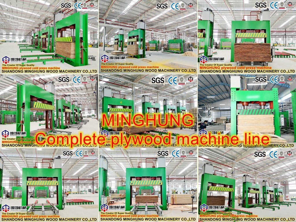 Plywood Production Line Layout Line for Manufacturing Plywood Panel Board