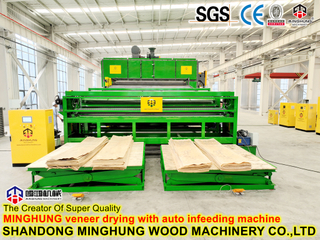 Lifetime Technical Support Plywood Drying System