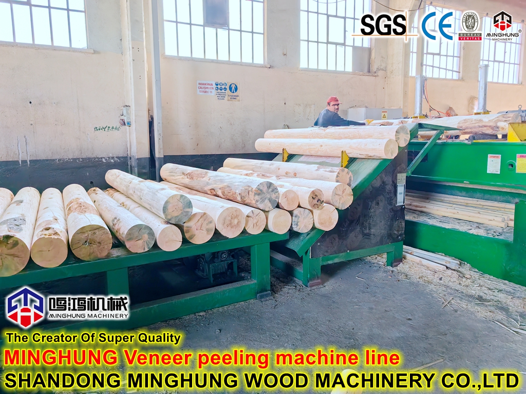 MINGHUNG Veneer lathe (3)