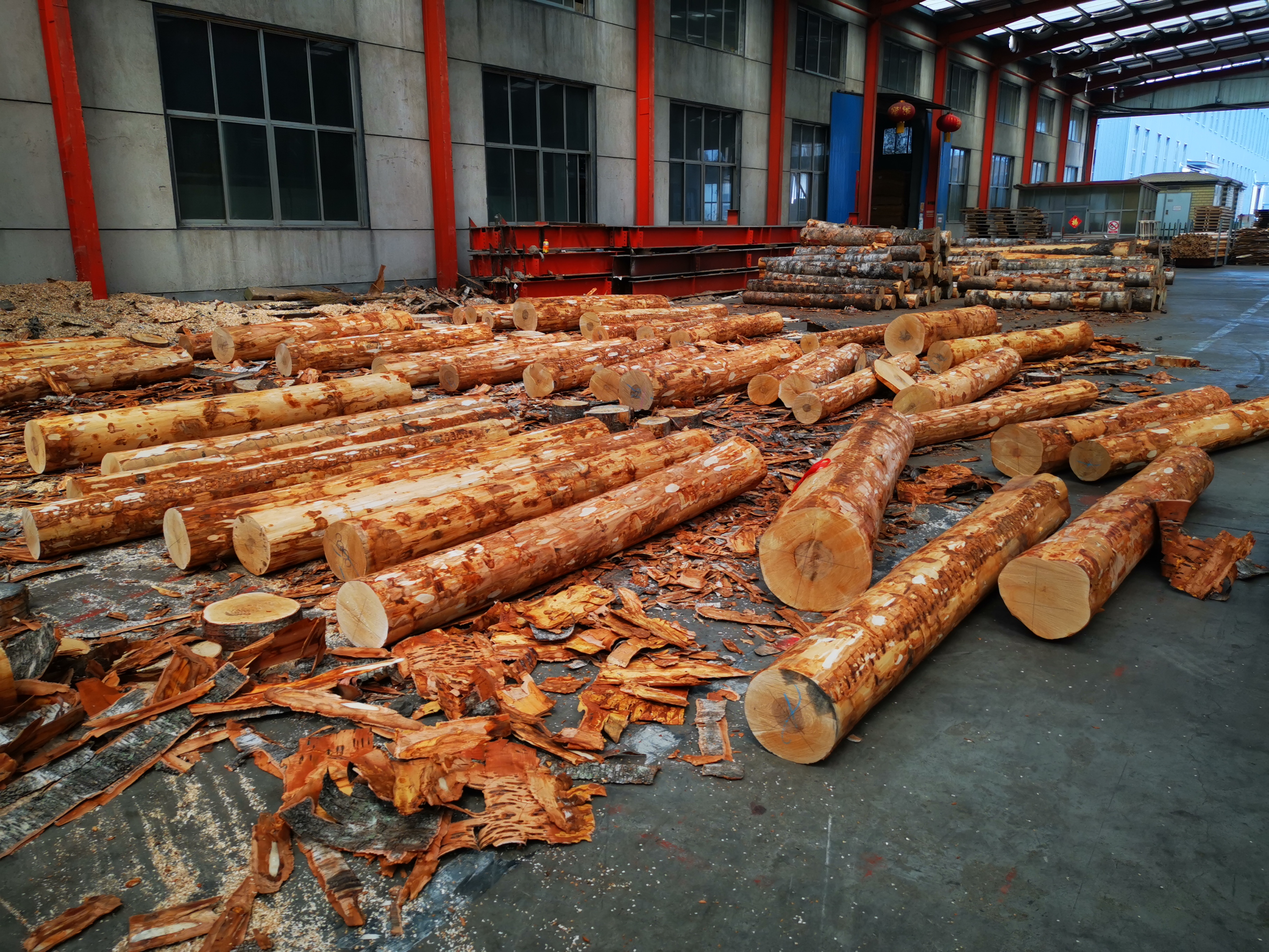 China Minghung Plywood Machinery Log Cutting Machines