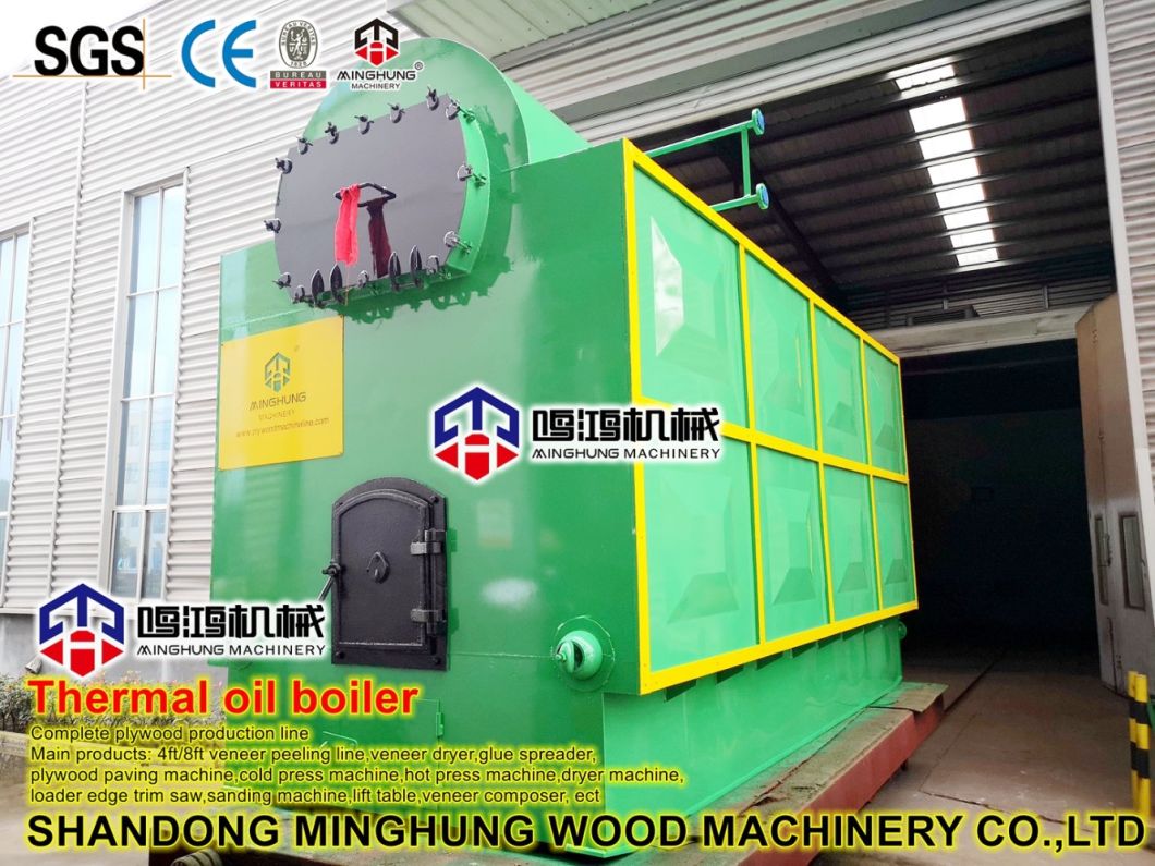 Biomass Fire Thermal Steam Boiler for Plywood Plant