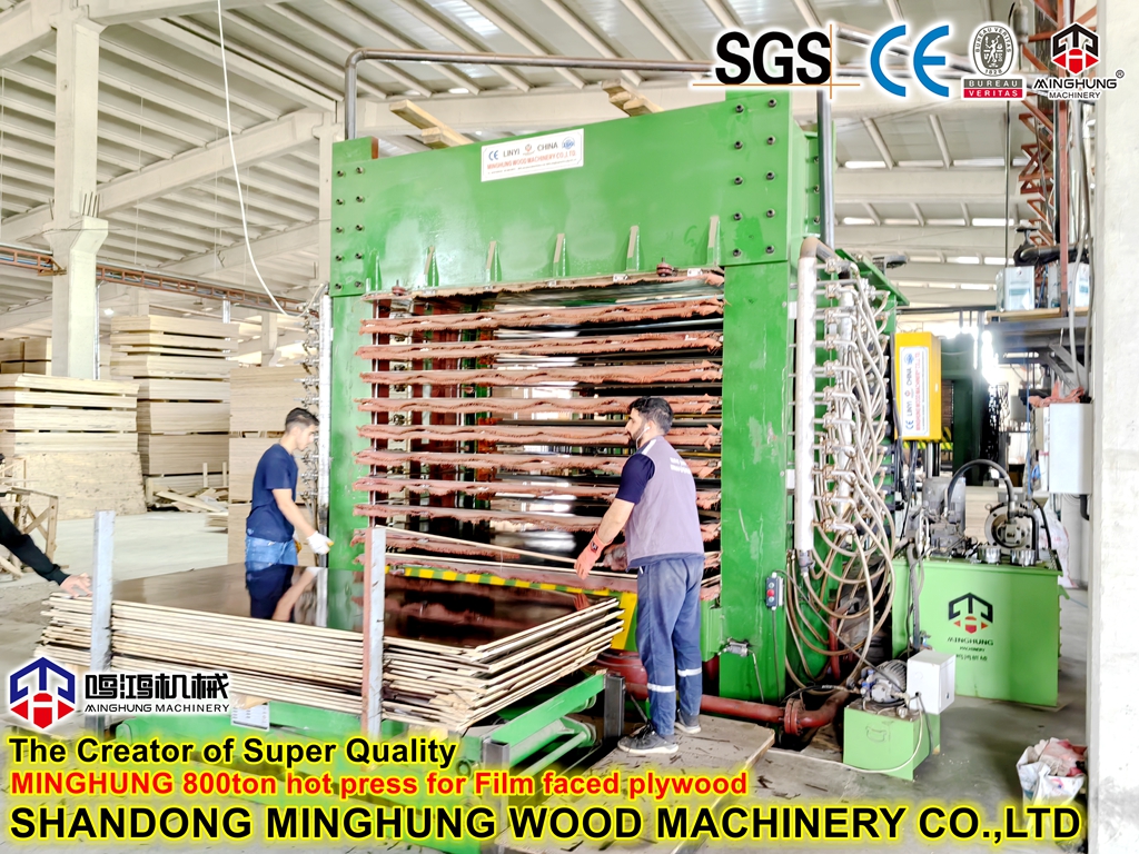 Film faced plywood hot press