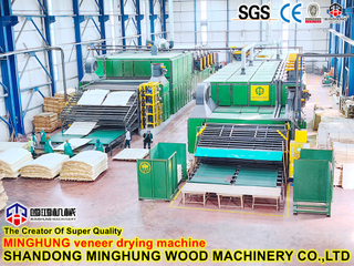 Core Veneer Roller Mesh Drying Machines for Core Veneer Making Production Line / Plywood Making Machines