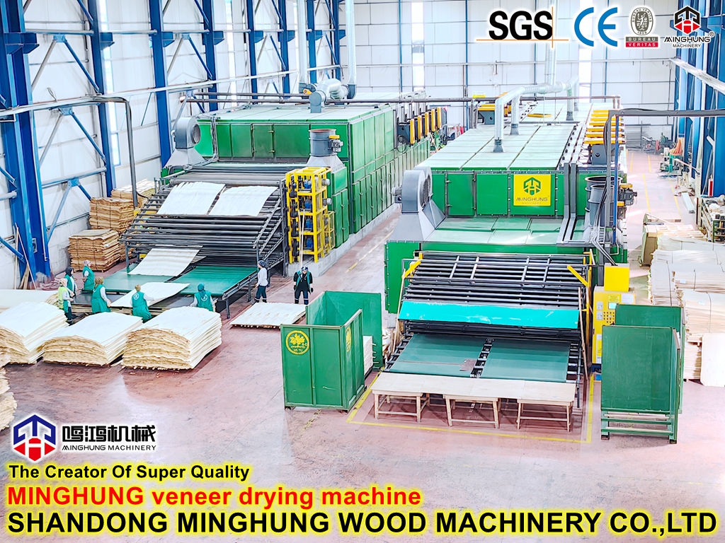 China Minghung Plywood Making Machinery Manufacturer: Core Veneer Roller Mesh Drying Machines for Core Veneer Making Production Line 