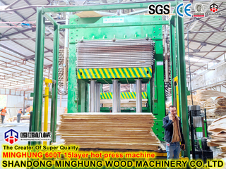 4*8feet Plywood Hot Press Machine for Forest Products Machine