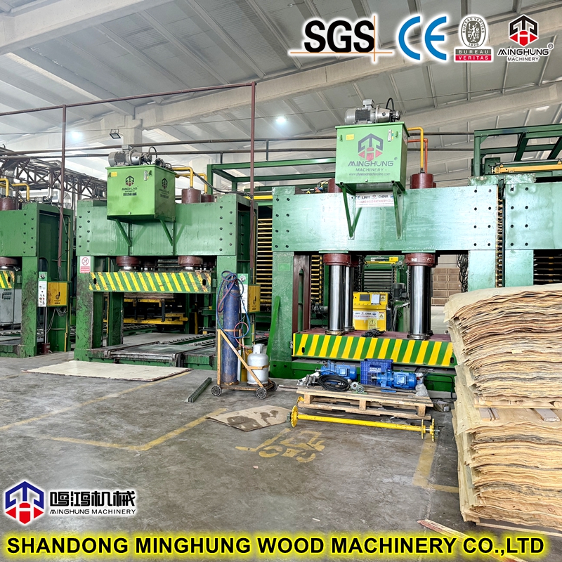 China MINGHUNG Plywood cold press