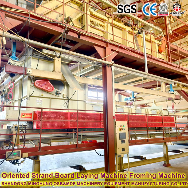 Oriented Strand Board Froming Machine