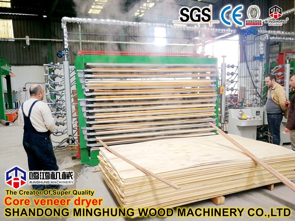 Veneer Dryer Machine for Beech Poplar Plywood Wood Core