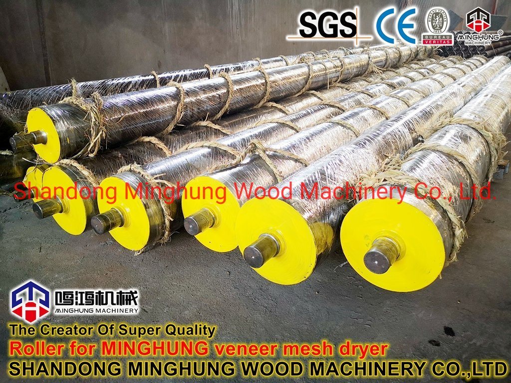 Veneer Drying Line for Mesh Wire Dryer