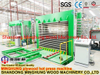 Factory Direct Sales Plywood Hot Press