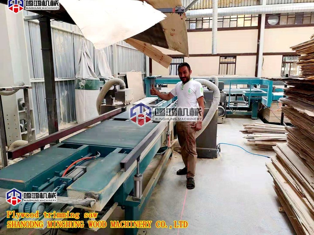 Semi-Automatic Plywood Saw Machine for Trimming Plywood Board