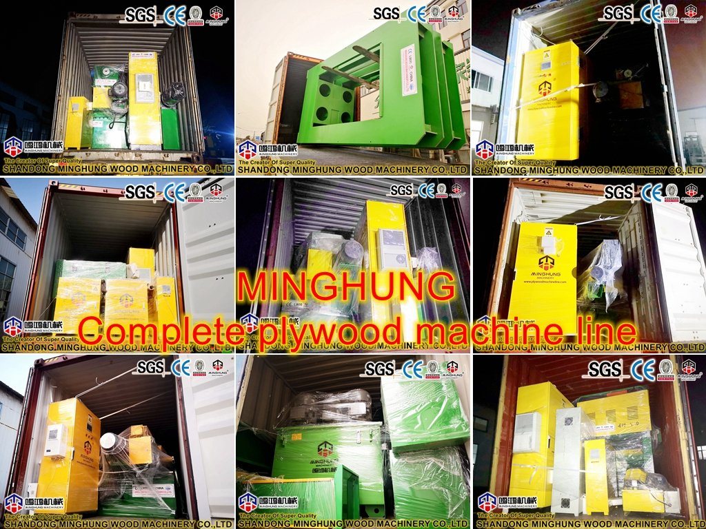 Veneer Production Line Birch Veneer Dryer Machine Mesh Birch Dryer