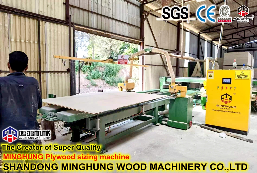 plywood sizing machine (2)