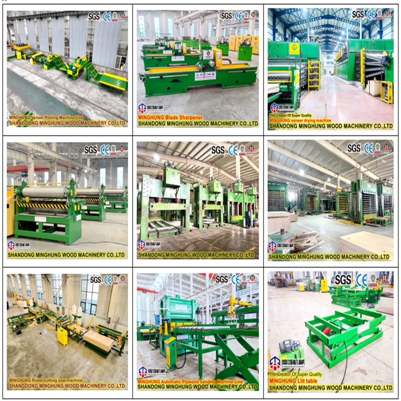China minghung plywood machine