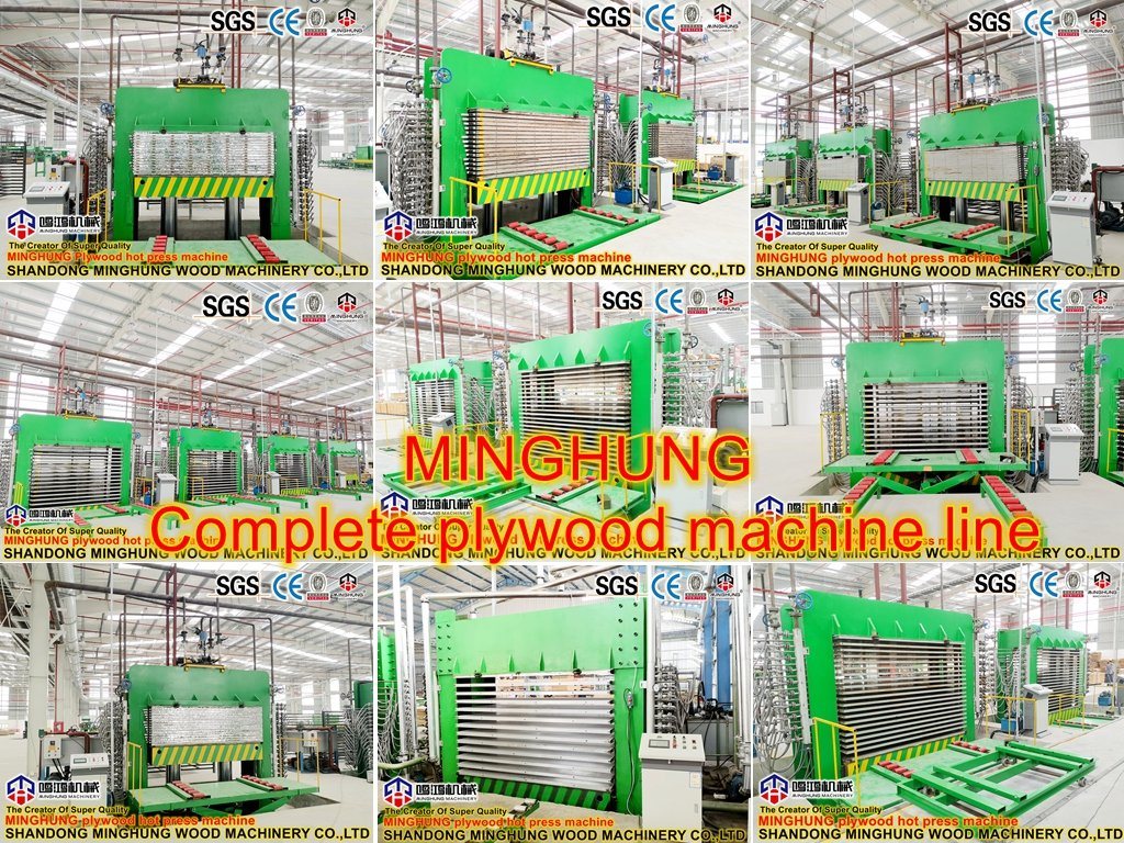 Wide Belt Sanding Machine for Plywood Production